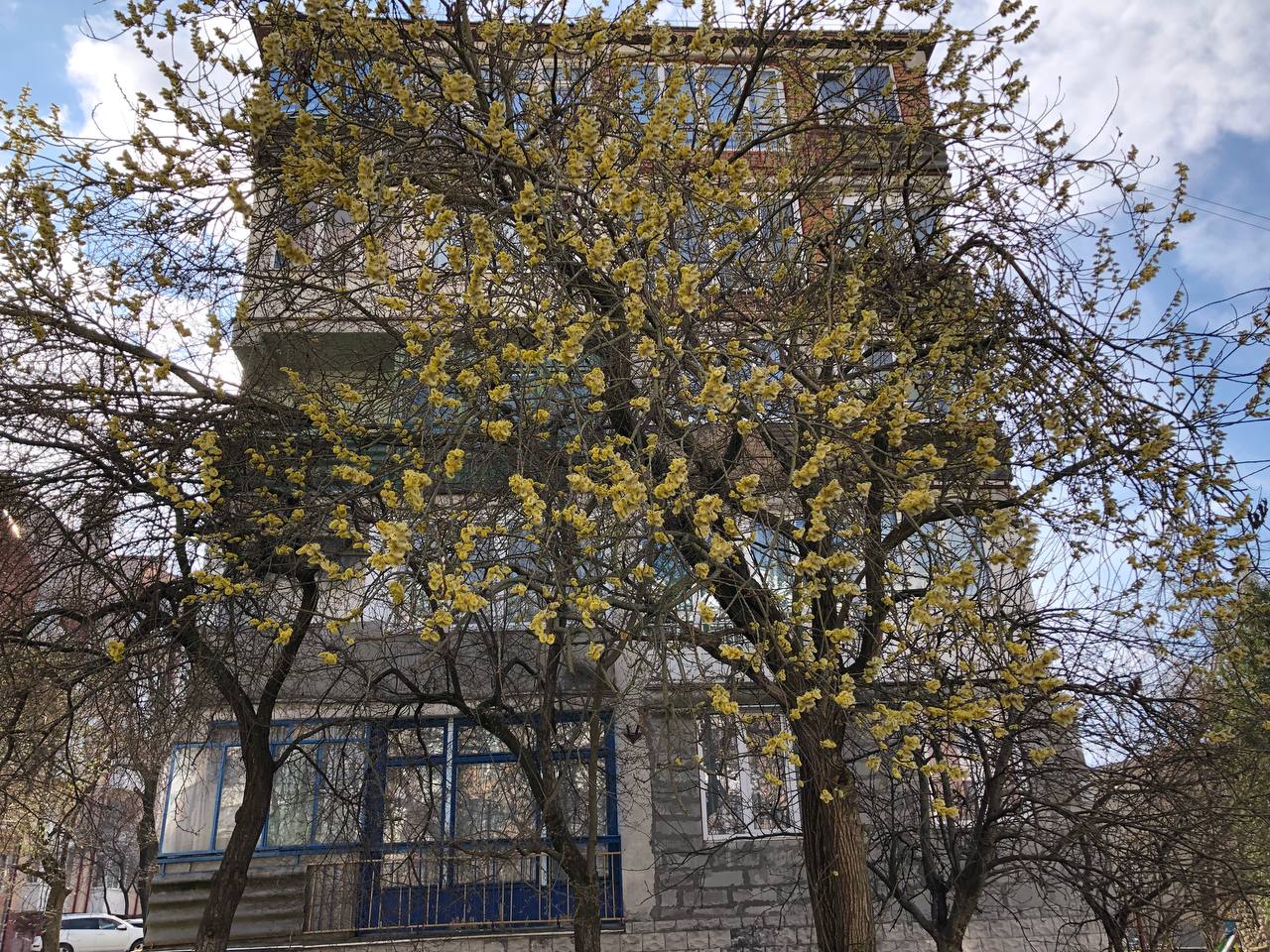 Новини Тернополя - фото з Як виглядає весняний Тернопіль у деталях