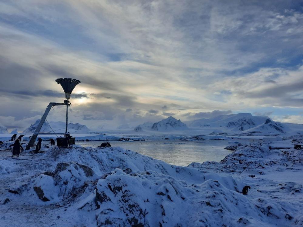 На зображенні може бути: 1 особа та природа