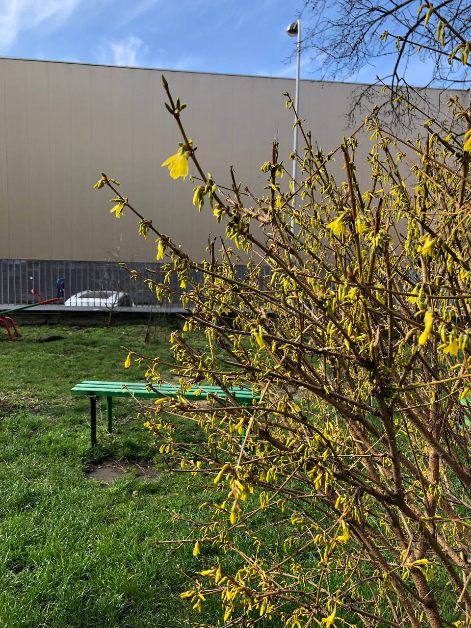 Новини Тернополя - фото з Як виглядає весняний Тернопіль у деталях