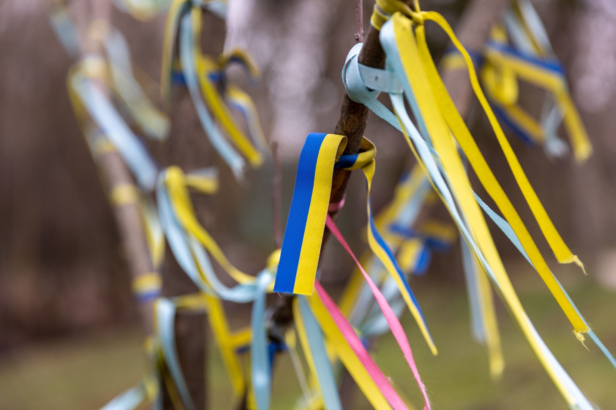 Новини Тернополя - фото з Міста-герої «розпускають віти» у тернопільському парку