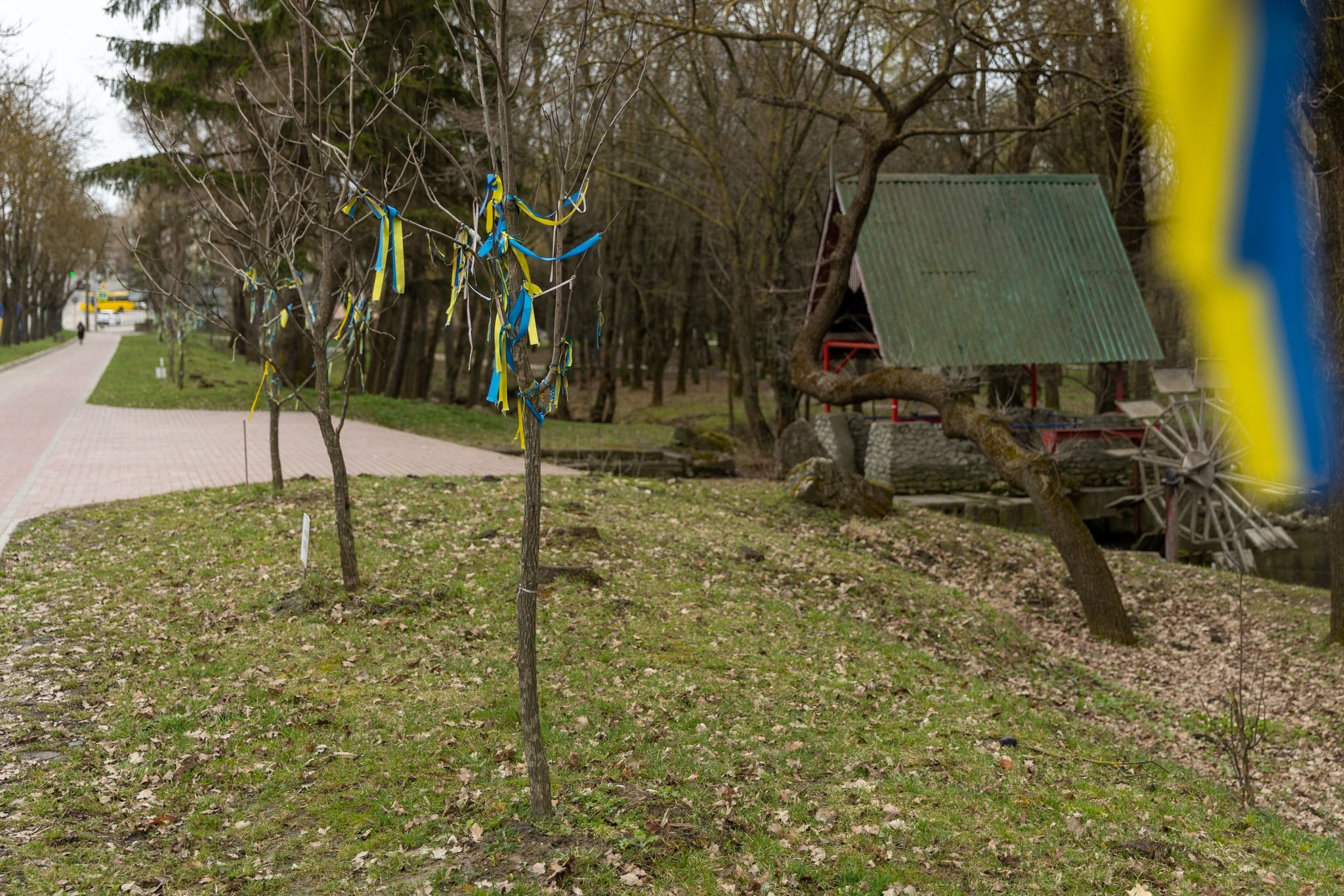 Новини Тернополя - фото з Міста-герої «розпускають віти» у тернопільському парку