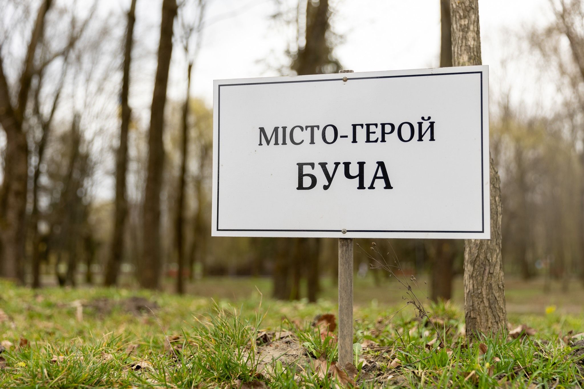 Новини Тернополя - фото з Міста-герої «розпускають віти» у тернопільському парку