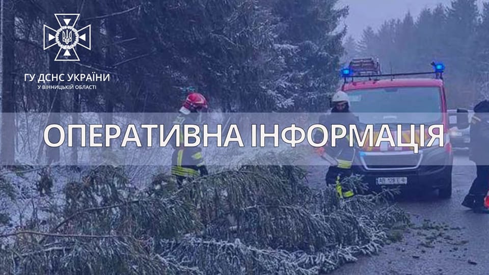 Новини Козятина - фото з Негода в області: рятувальники прибирають повалені дерева, а енергетики наголошують про небезпеку обриву ліній