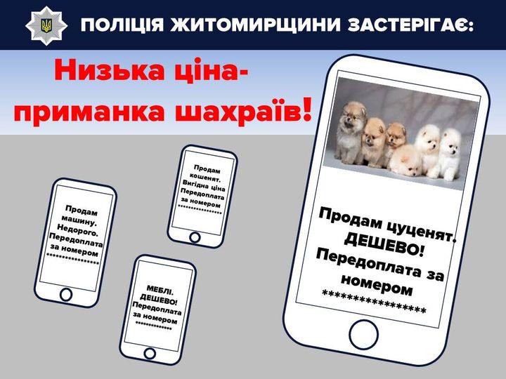 Новини Житомира - фото з Реальні гроші за неіснуючі товари: засуджений отримав 70 тисяч грн за фейковий продаж елітного автомобіля На зображенні може бути: 1 особа, собака та текст
