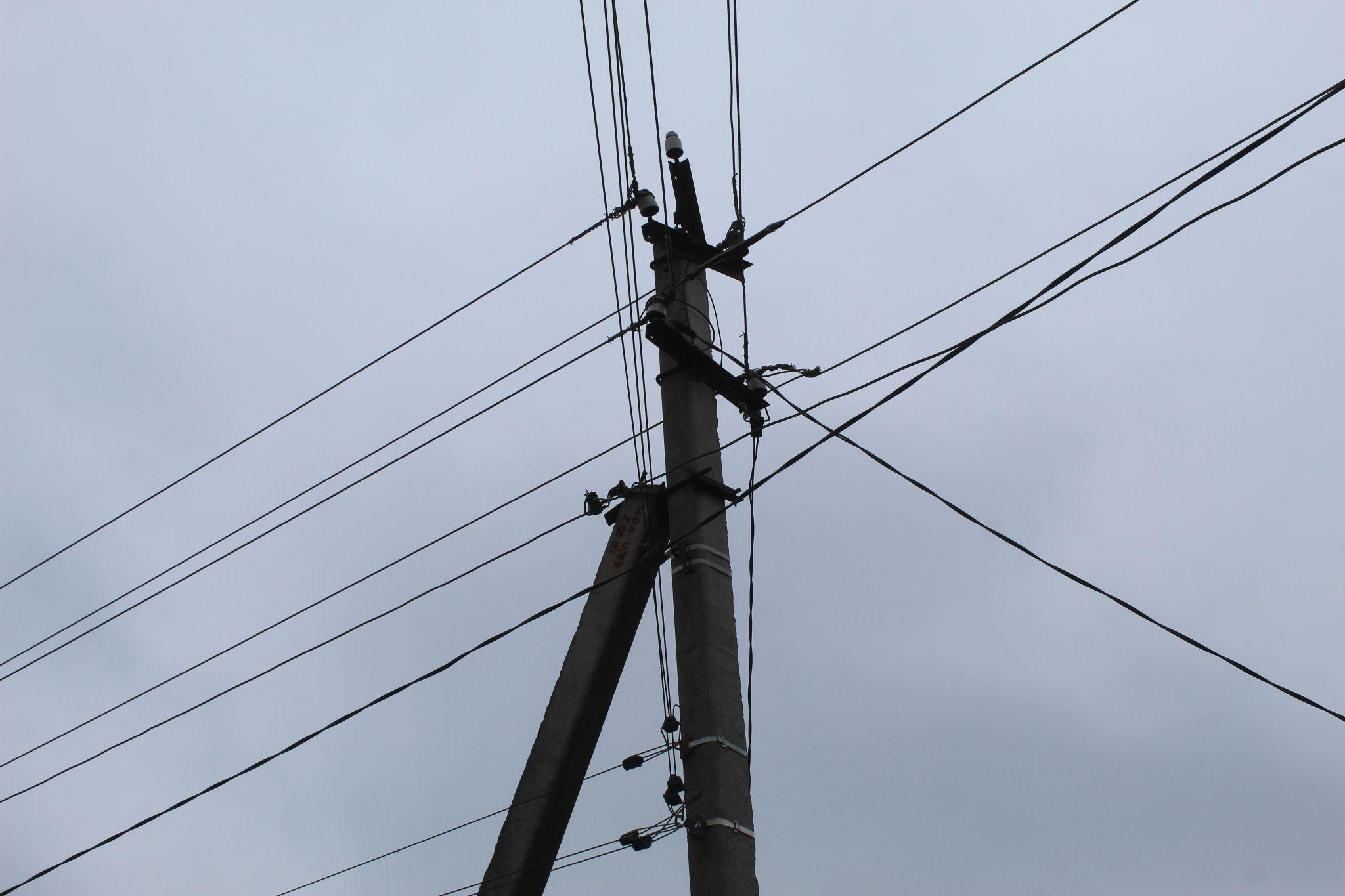 Новини Козятина - фото з Чотири дні лелеки сумували за своїм гніздом