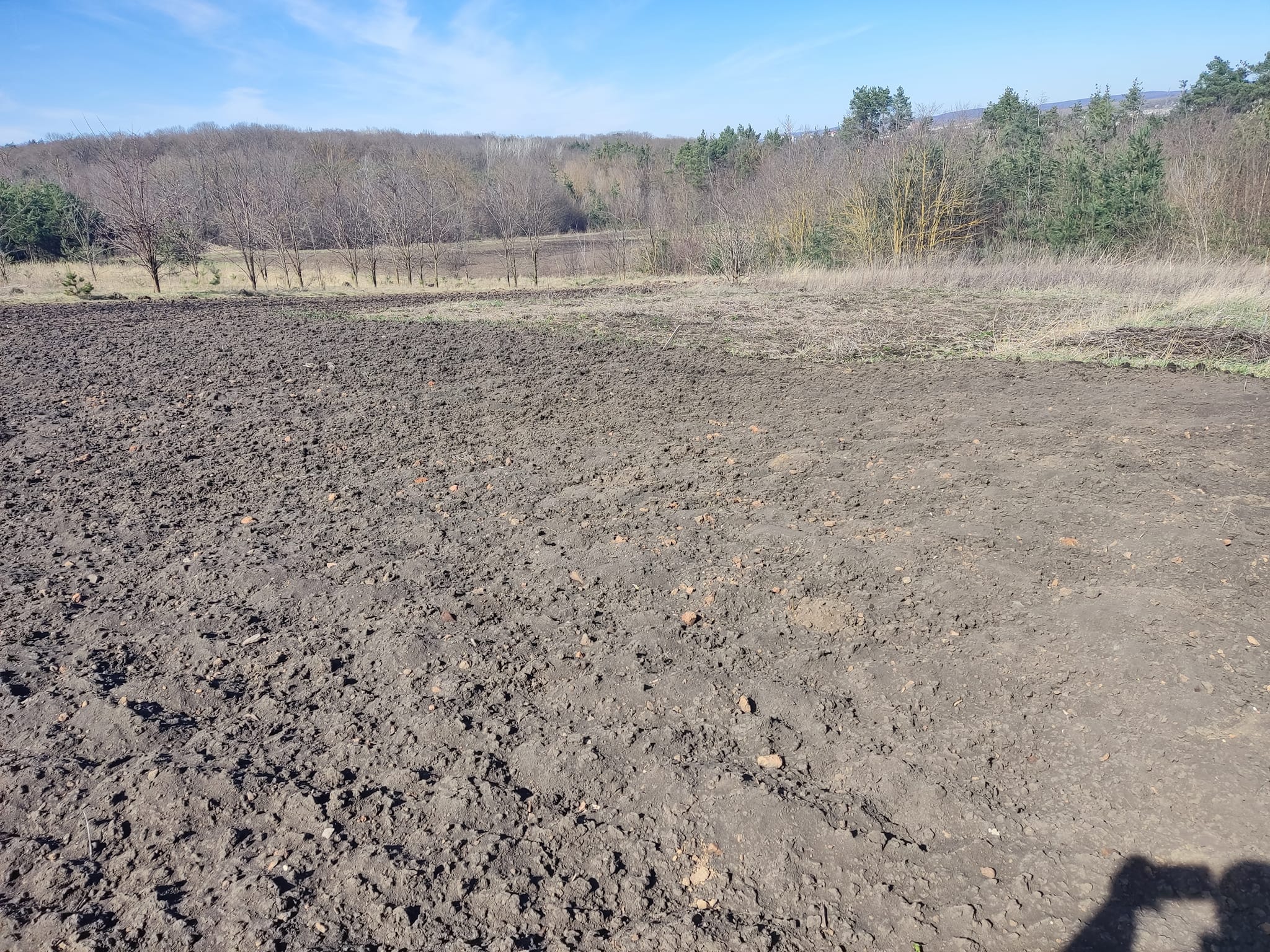 Новини Тернополя - фото з У Гусятині виявили стародавнє поселення Трипільської культури