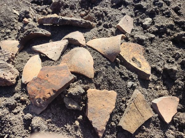 Новини Тернополя - фото з У Гусятині виявили стародавнє поселення Трипільської культури