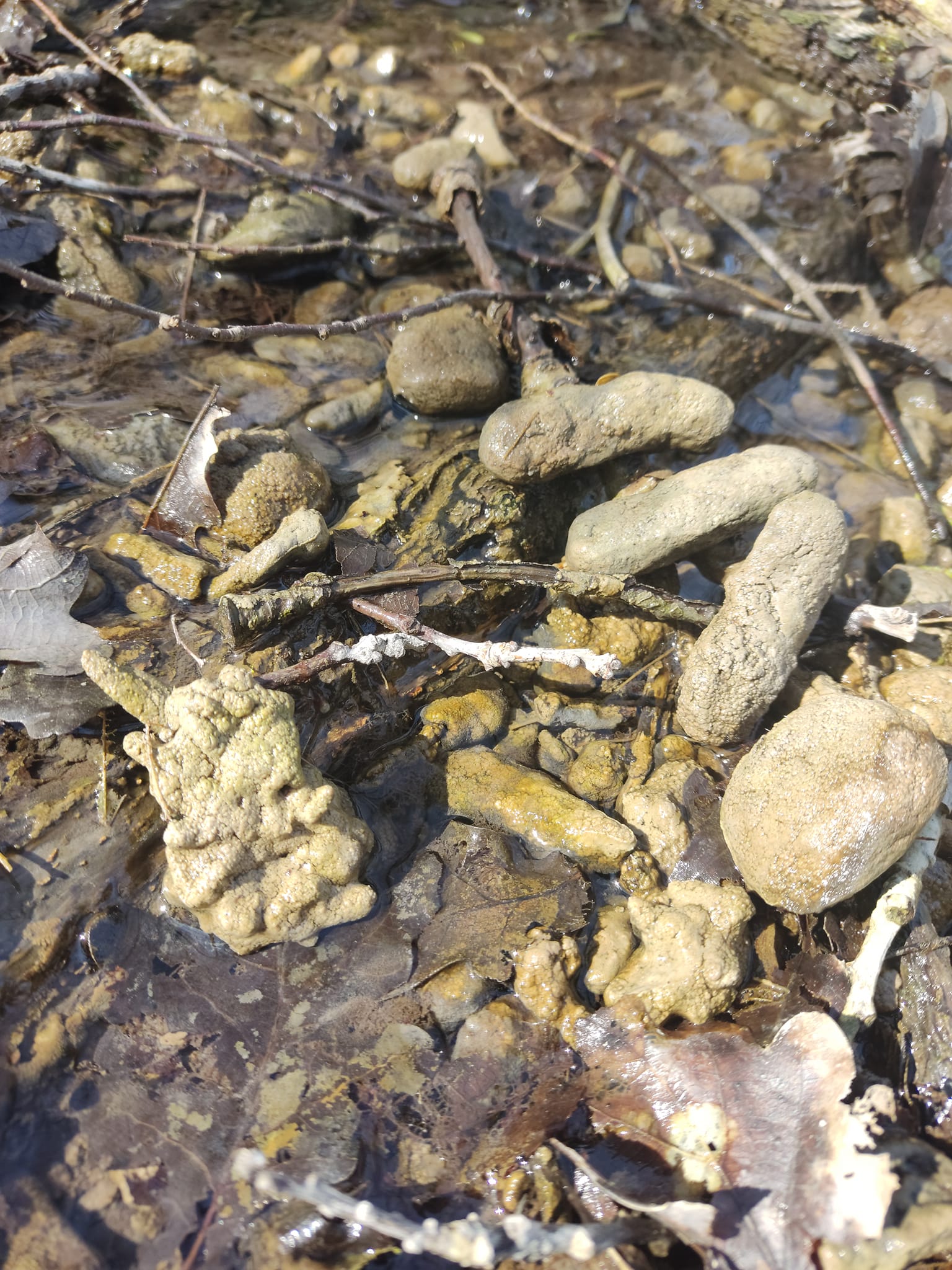 Новини Тернополя - фото з У Гусятині виявили стародавнє поселення Трипільської культури