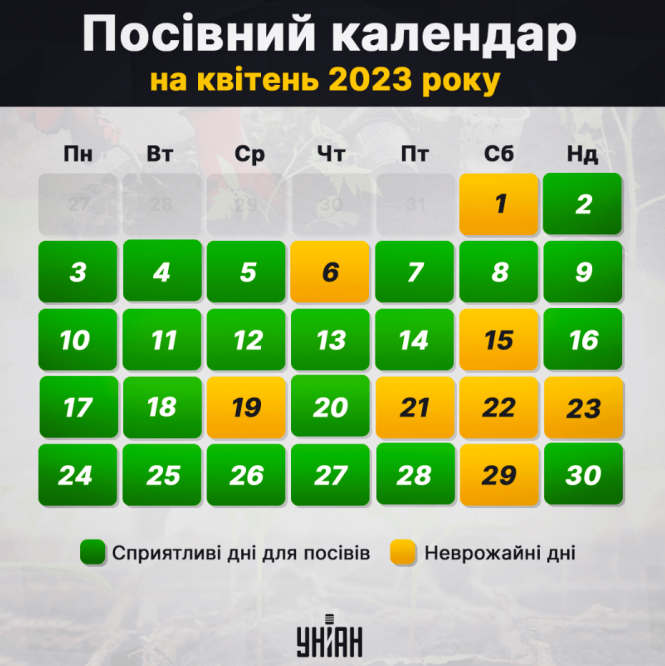 Новини Вінниці - фото з Коли та що можна сіяти у квітні: місячний посівний календар