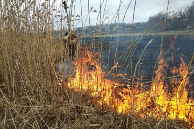 Новини Вінниці - фото з ТОП важливих новин на 20minut.ua від 27 березня по 3 квітня, які ви могли пропустити На Вінниччині невідомі підпалили очерет, де рибалив хлопчик. У якому стані дитина?