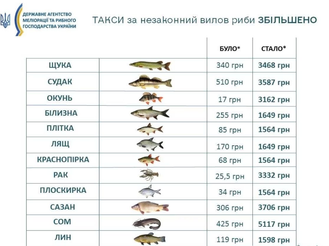 Новини Тернополя - фото з На Тернопільщині починається нерестова заборона на вилов риби та раків