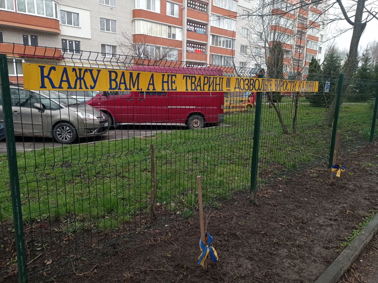 Новини Тернополя - фото з На алеї пам'яті полеглих Героїв України розпустилась калина (ФОТО ДНЯ)