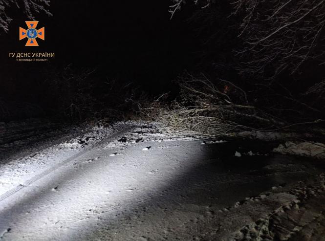 Новини Вінниці - фото з Квітневий снігопад наробив лиха. Наслідки усували 27 рятувальників