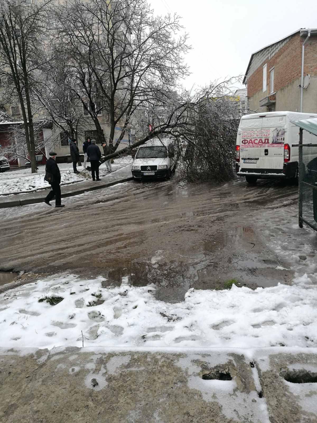 Новини Тернополя - фото з Ожеледиця на тротуарах, а вулиці «пливуть»: яка ситуація в Тернополі через негоду