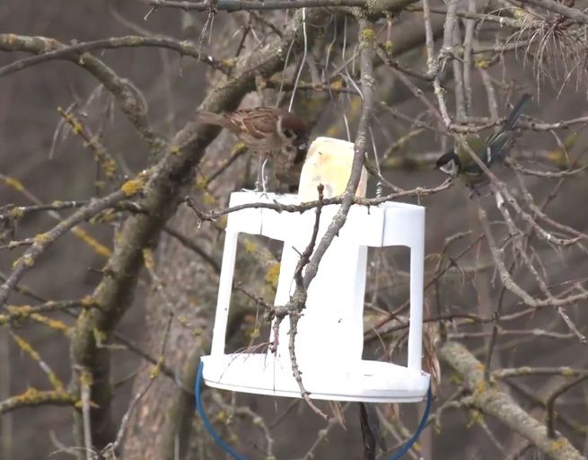 Новини Тернополя - фото з Він у вільний час розписує тубуси гранатометів. Історія «Друга безіменного» з Тернопільщини