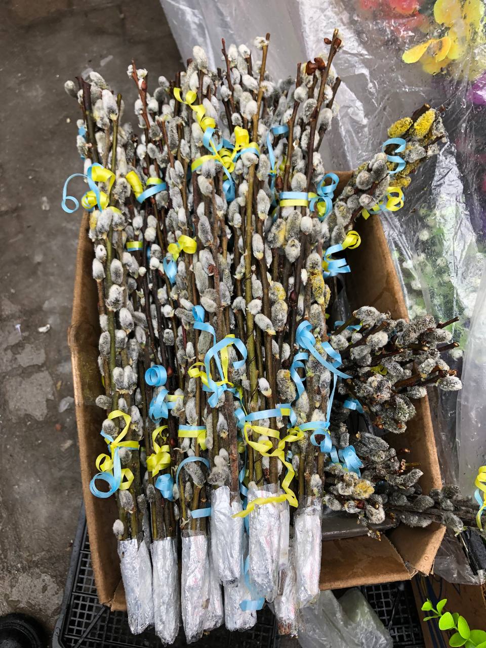 Новини Тернополя - фото з Із сухоцвітом та патріотичними стрічками: за скільки продають букети до Вербної неділі