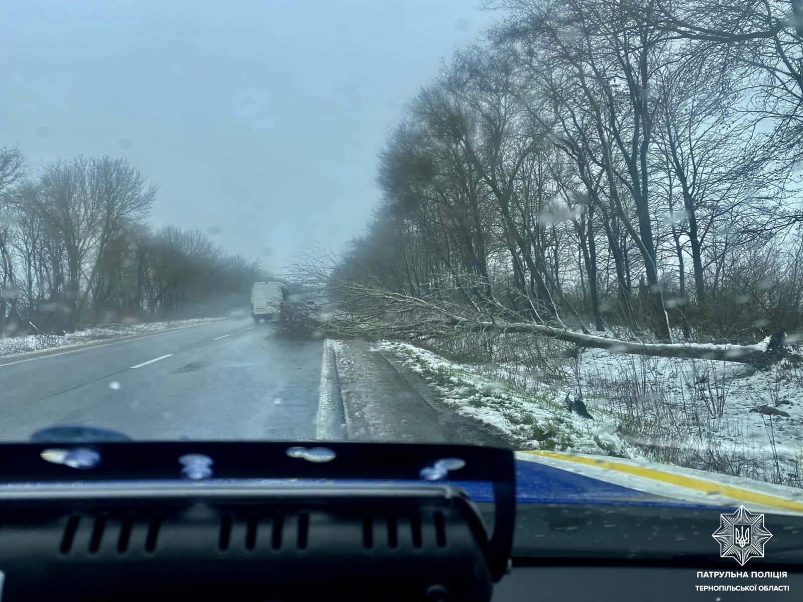 Новини Тернополя - фото з У Тернополі гілки дерев падають на дороги та автівки
