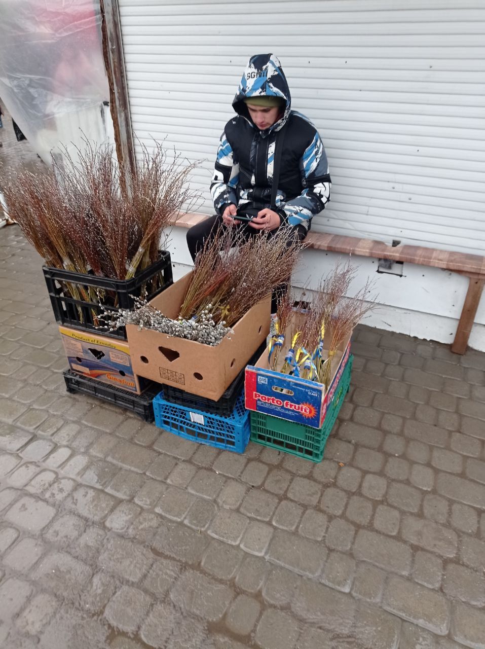 Новини Тернополя - фото з Із сухоцвітом та патріотичними стрічками: за скільки продають букети до Вербної неділі