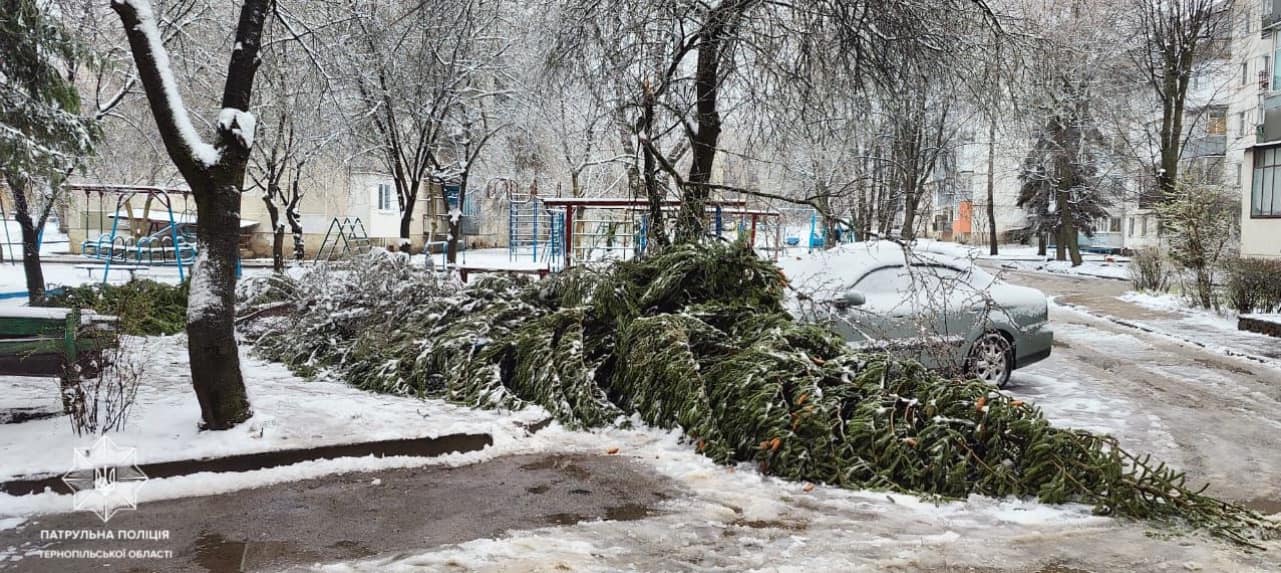 Новини Тернополя - фото з У Тернополі гілки дерев падають на дороги та автівки
