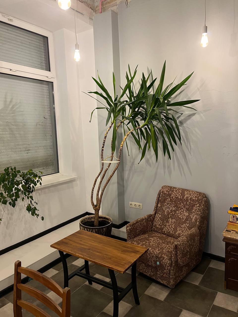 Новини Тернополя - фото з Назбирав гроші на мрію і відкрив кав’ярню біля Ставу: історія успіху молодого підприємця (ВІДЕОІНТЕРВ’Ю)