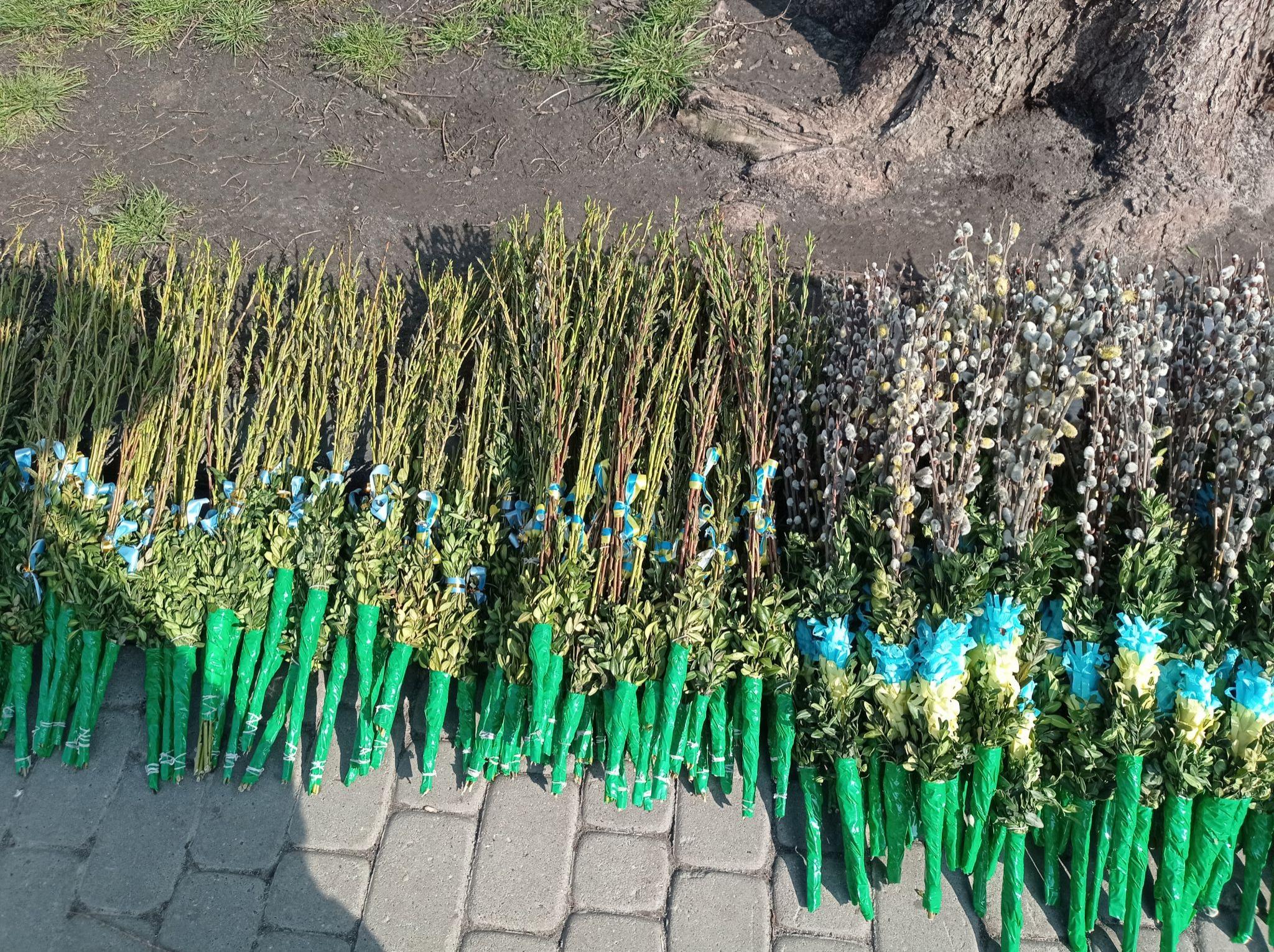 Новини Тернополя - фото з Як тернополяни освячували вербу: репортаж з храмів