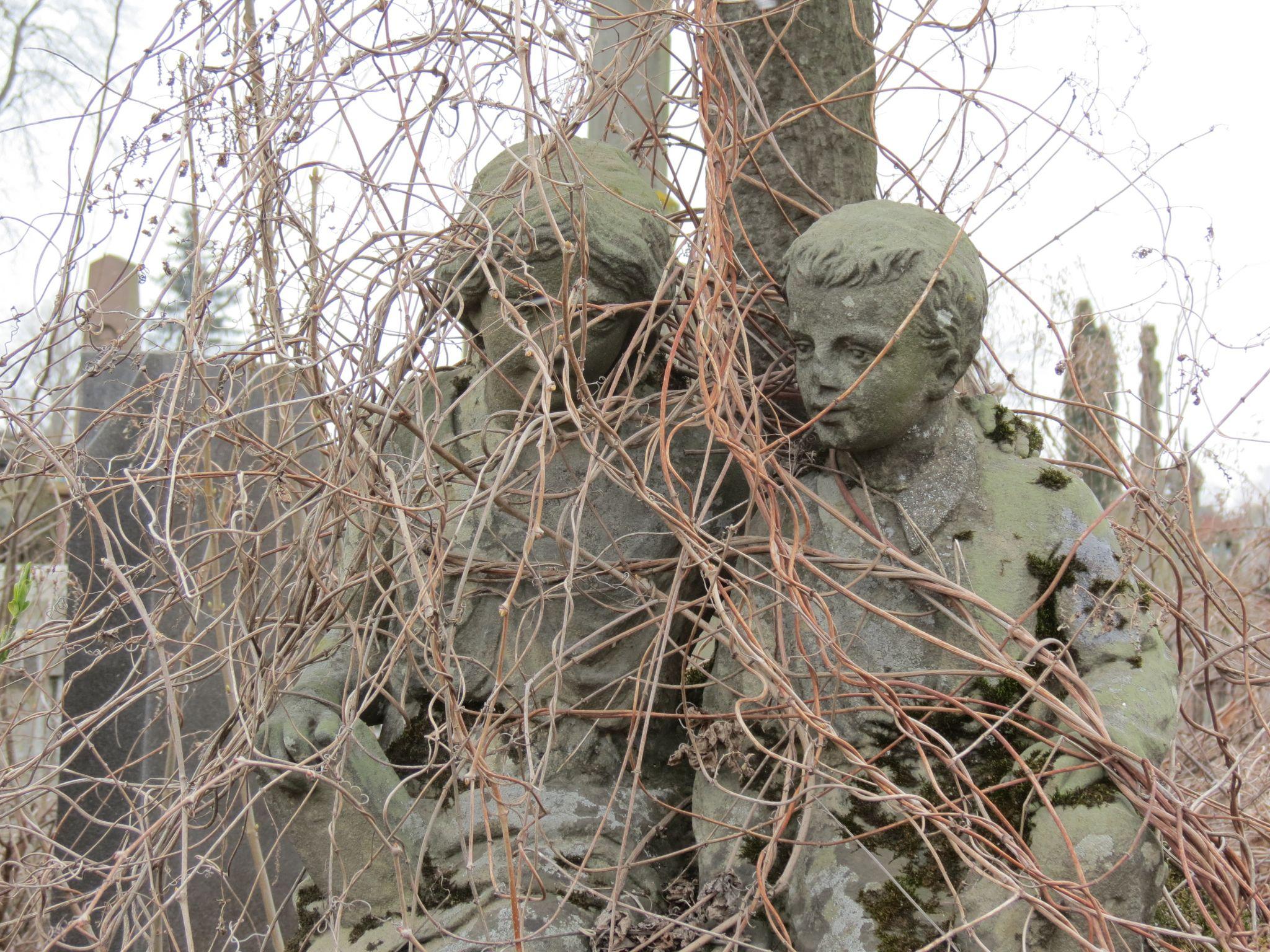 Новини Тернополя - фото з Як виглядають старі та незвичайні поховання на Микулинецькому кладовищі (ФОТОРЕПОРТАЖ)