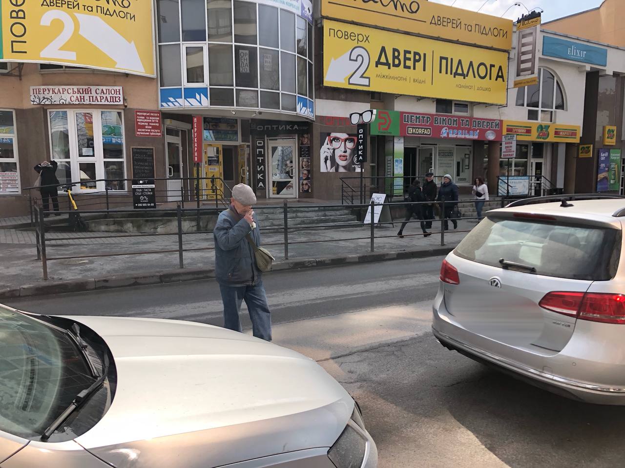 Новини Тернополя - фото з Невже мають дев'ять життів? Запитали у тернополян, чому вони перебігають дорогу перед автівками