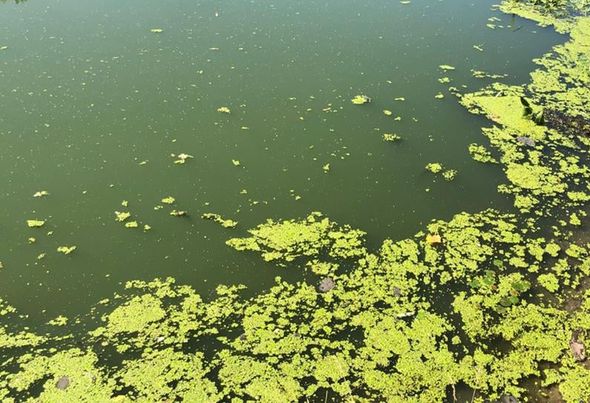 Новини Житомира - фото з За скид неочищених стічних вод у Тетерів, що завдав понад 22 мільйони збитків, висунуто підозру екскерівникові комунального підприємства