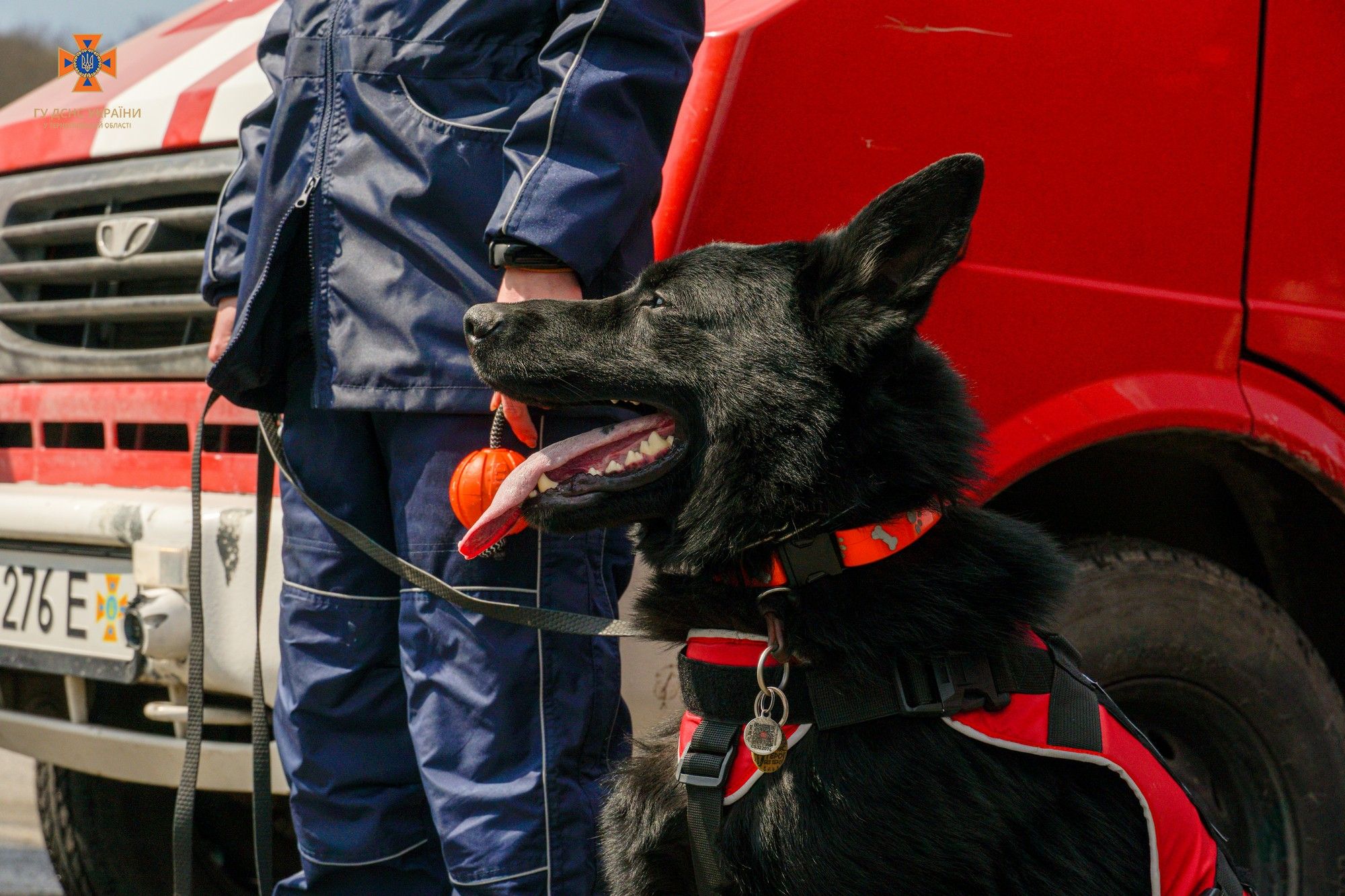 Новини Тернополя - фото з Рятувальники Тернопільщини провели масштабні навчання у Чистилівському заказнику