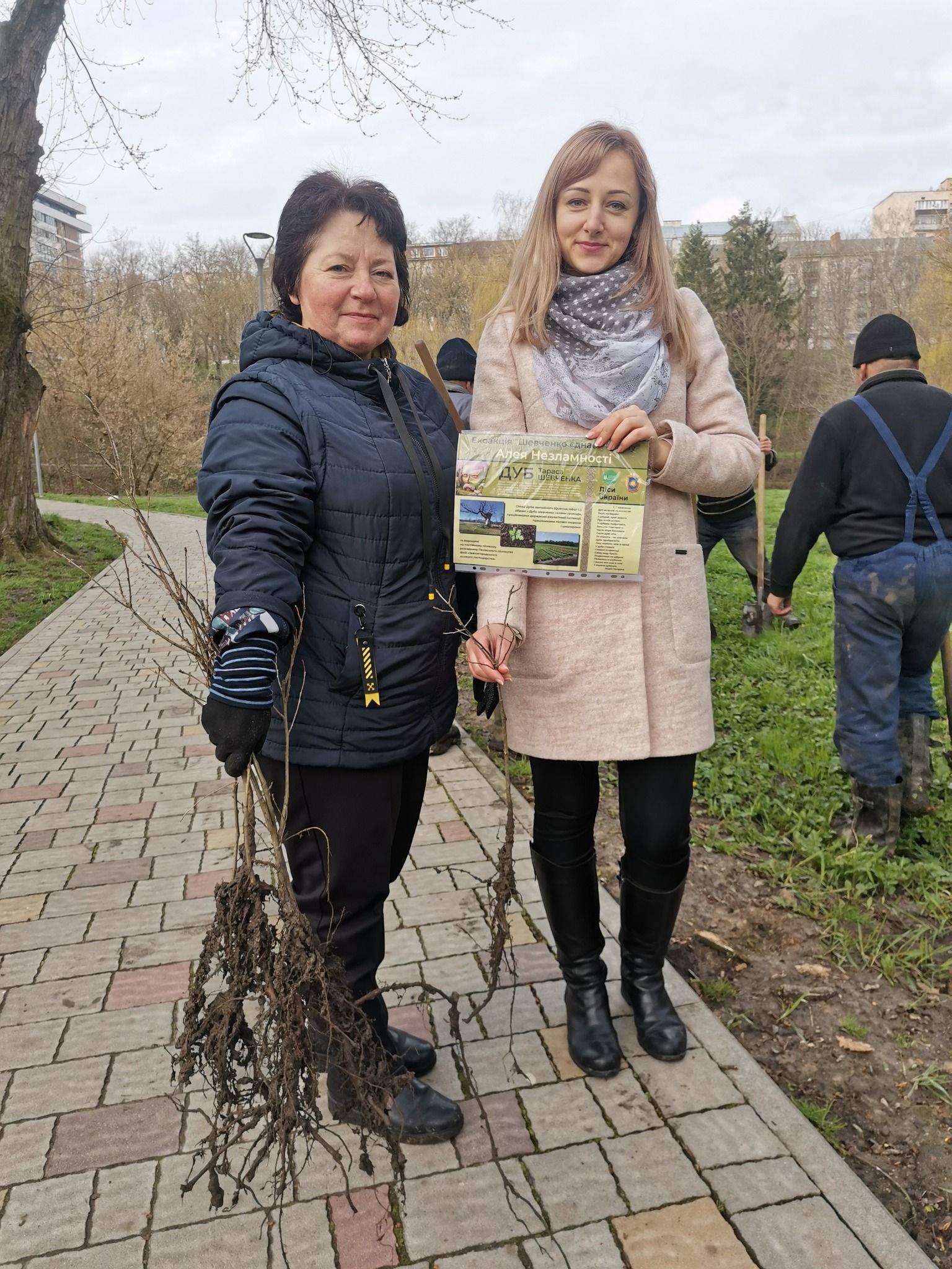 Новини Тернополя - фото з У тернопільському парку «Сопільче» висадили дубову алею
