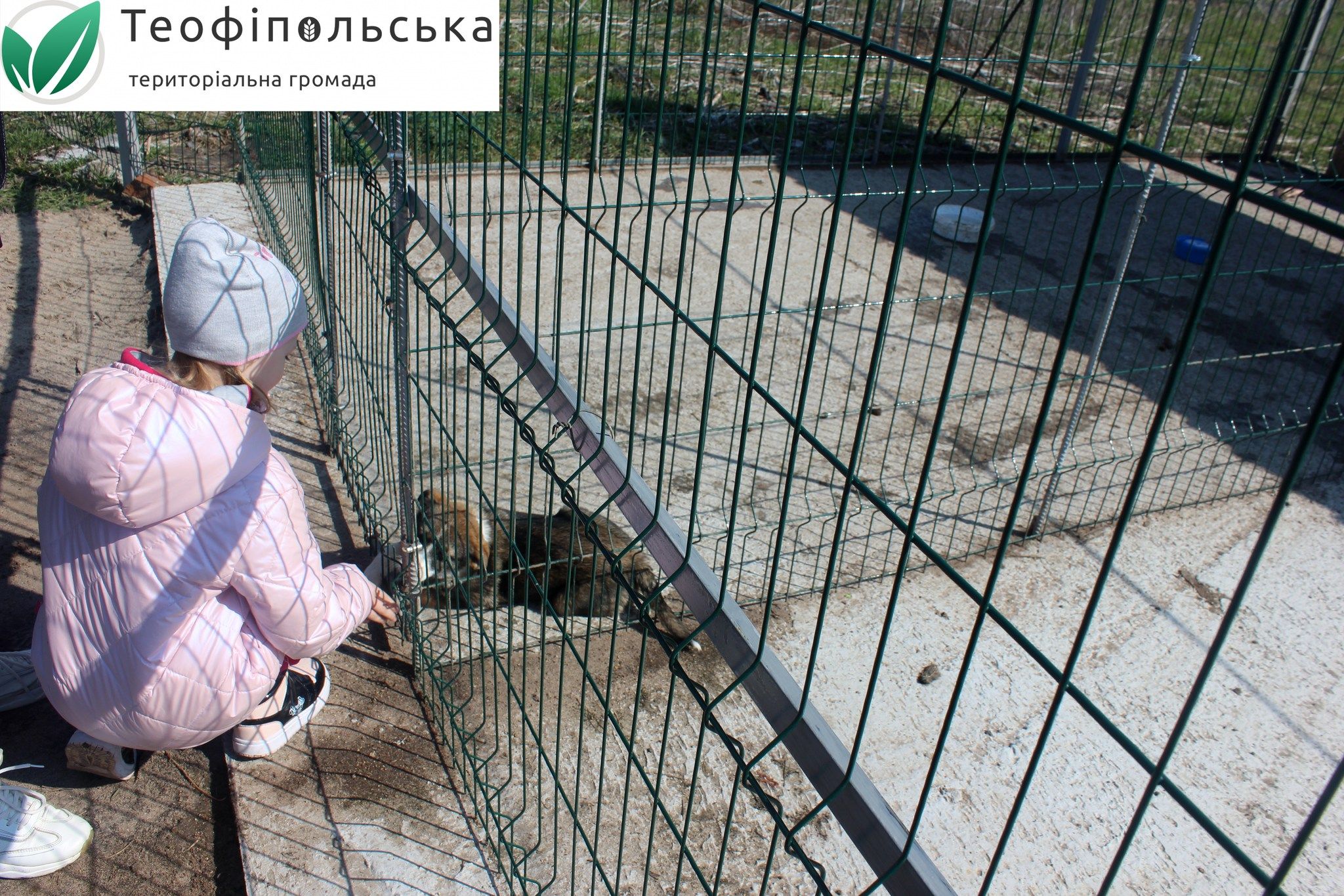 Новини Хмельницького - фото з Притулок для тварин відкрили у Хмельницькому районі