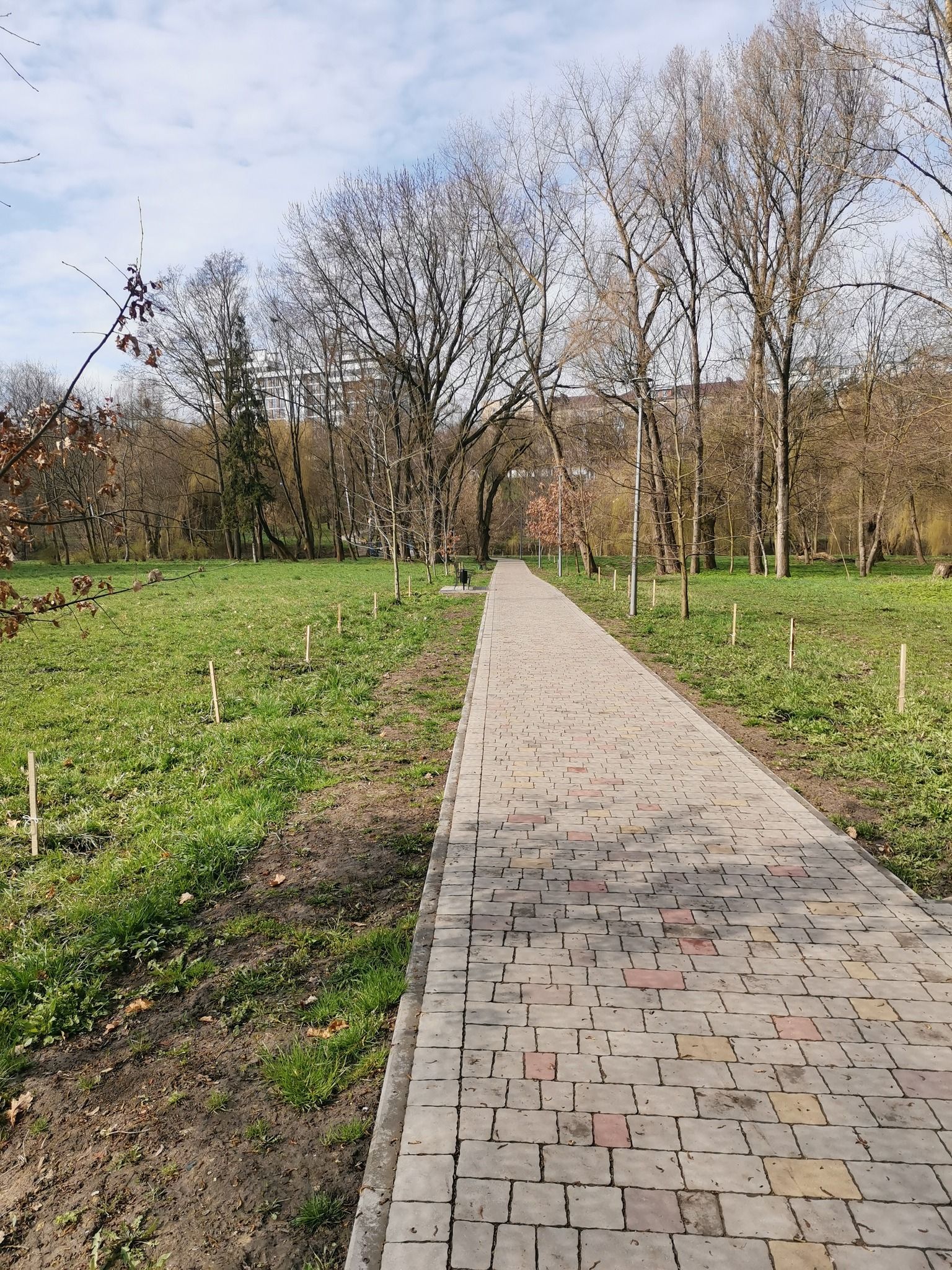 Новини Тернополя - фото з У тернопільському парку «Сопільче» висадили дубову алею