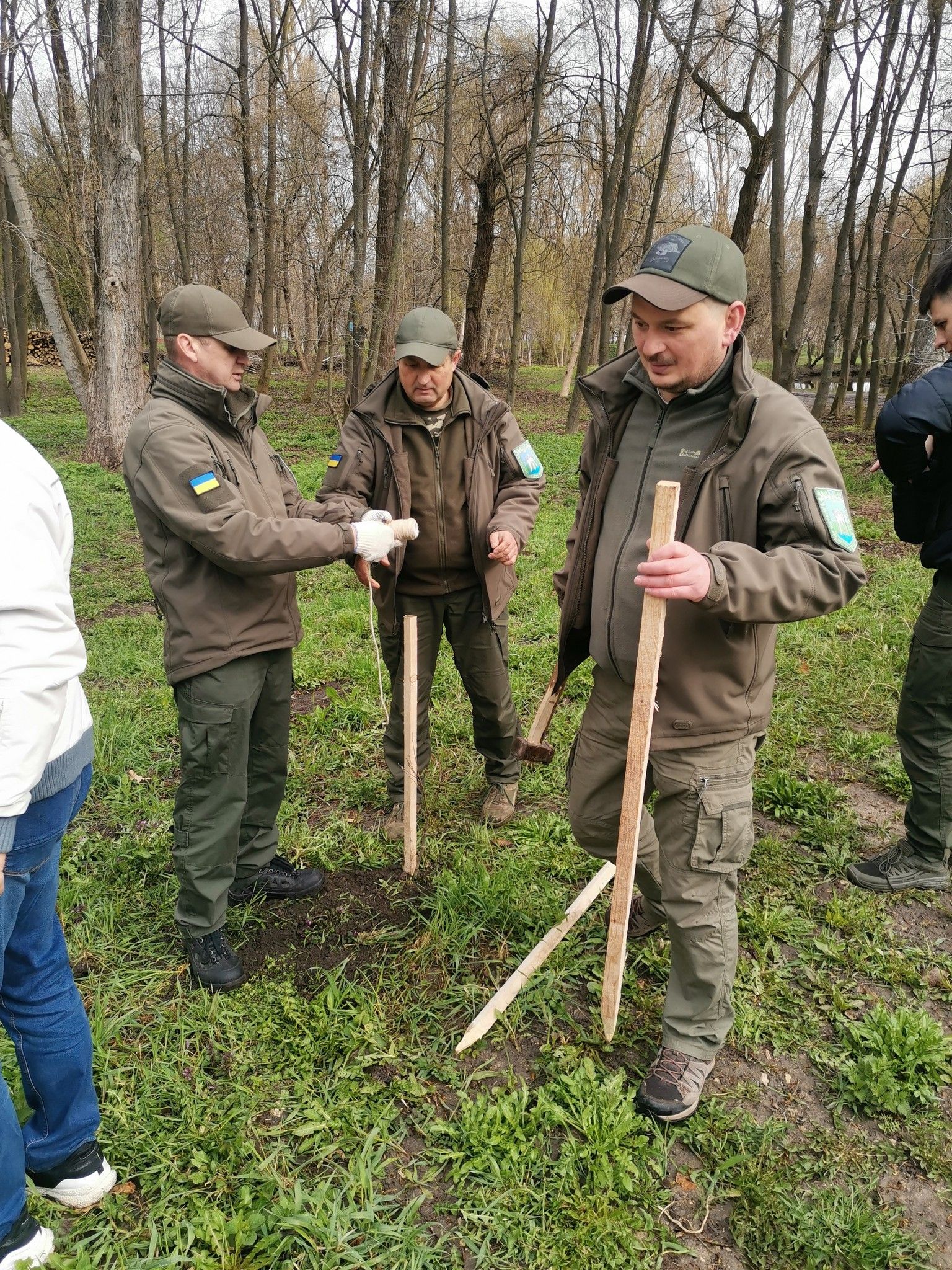 Новини Тернополя - фото з У тернопільському парку «Сопільче» висадили дубову алею