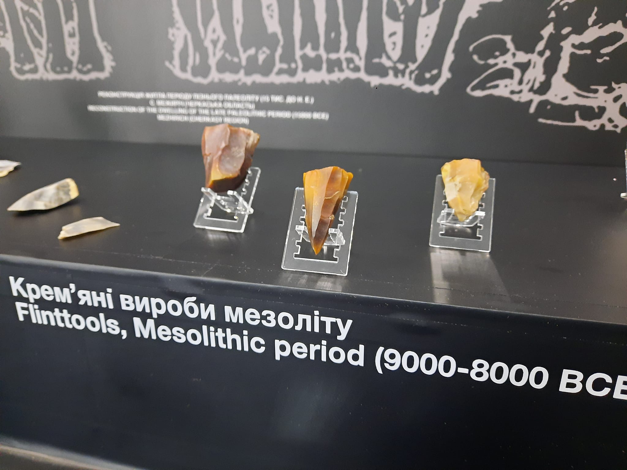 Новини Тернополя - фото з Артефакт з мезоліту поповнив колекцію Залозецького музею