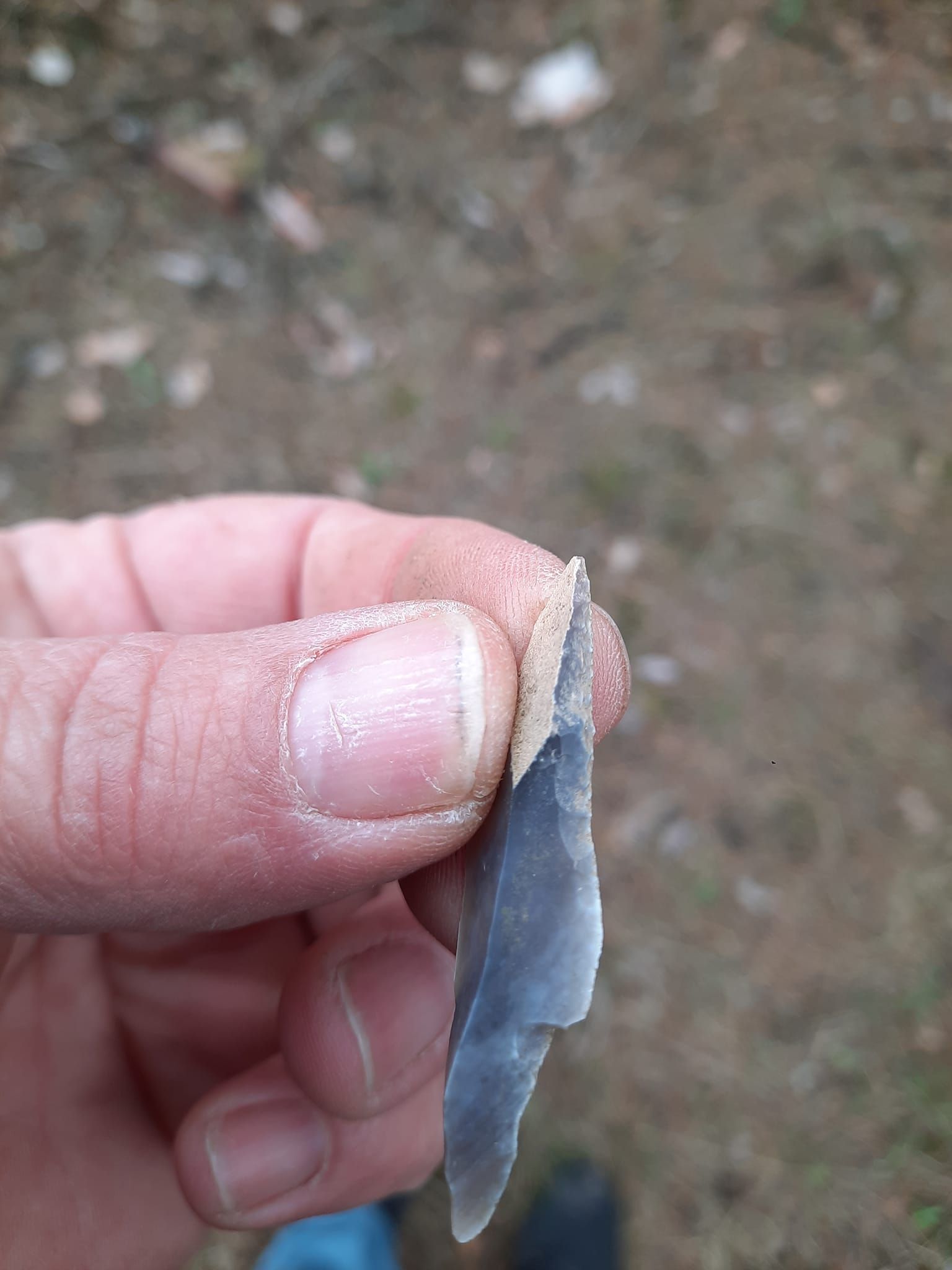 Новини Тернополя - фото з Артефакт з мезоліту поповнив колекцію Залозецького музею