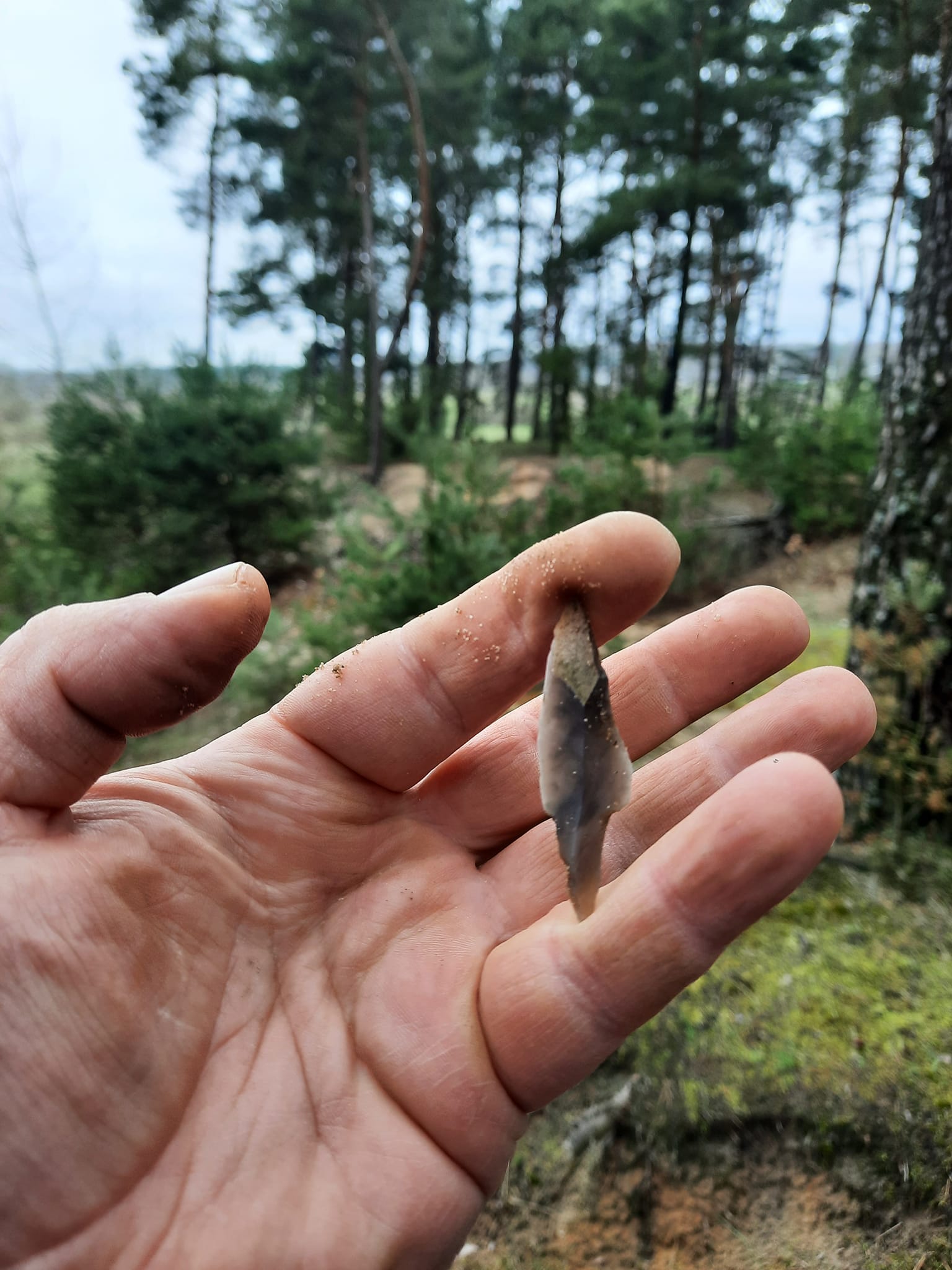 Новини Тернополя - фото з Артефакт з мезоліту поповнив колекцію Залозецького музею