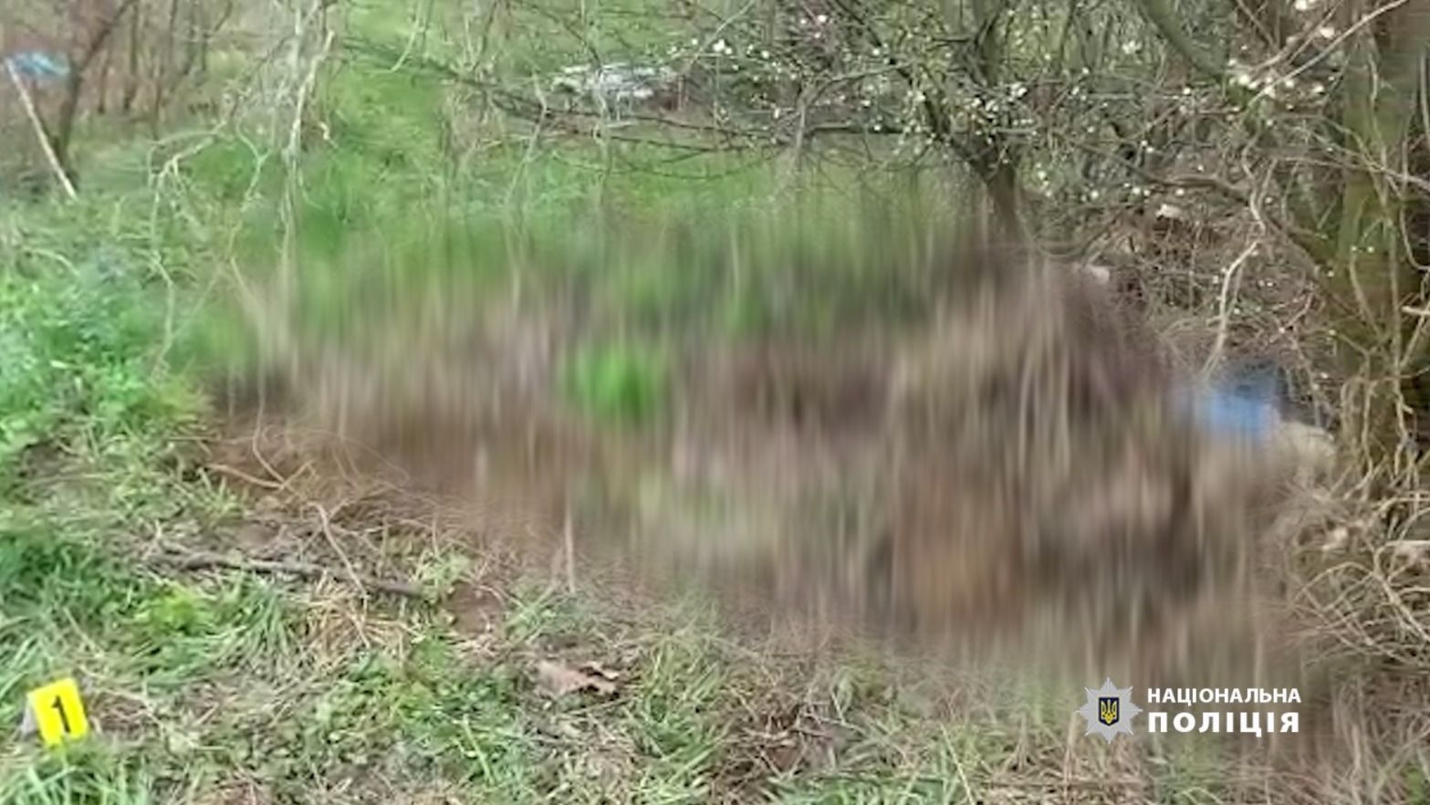 Новини Вінниці - фото з «Він проломив їй голову і задушив»: про вбивство 26-річної дівчини, в якому фігурує військовий