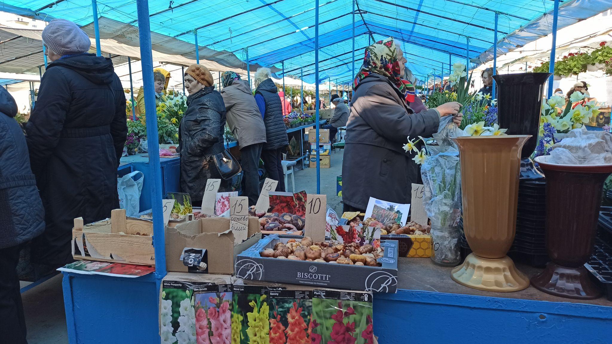 Новини Тернополя - фото з Квітковий ринок аж «гуде». Скільки коштують рослини і що найчастіше купують тернополяни? (РЕПОРТАЖ)