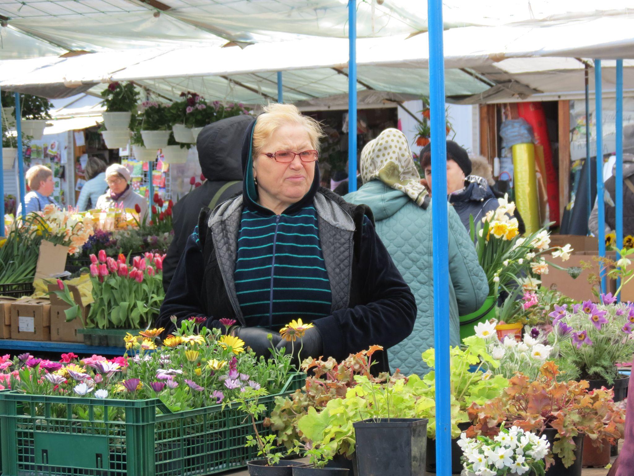 Новини Тернополя - фото з Квітковий ринок аж «гуде». Скільки коштують рослини і що найчастіше купують тернополяни? (РЕПОРТАЖ)