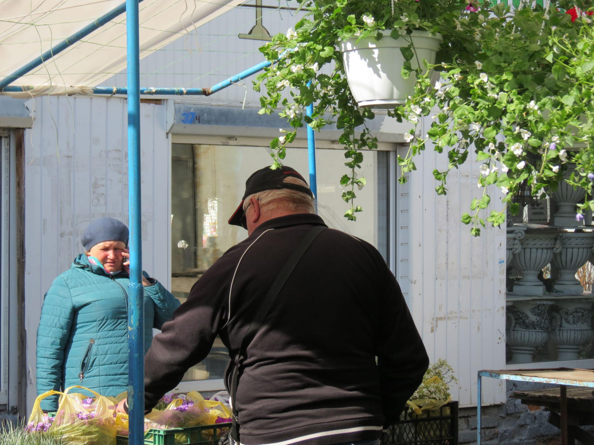 Новини Тернополя - фото з Квітковий ринок аж «гуде». Скільки коштують рослини і що найчастіше купують тернополяни? (РЕПОРТАЖ)