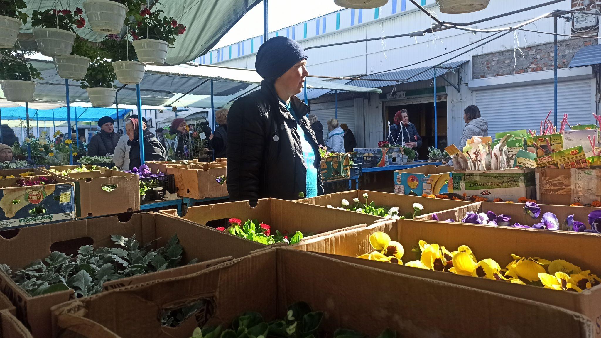 Новини Тернополя - фото з Квітковий ринок аж «гуде». Скільки коштують рослини і що найчастіше купують тернополяни? (РЕПОРТАЖ)