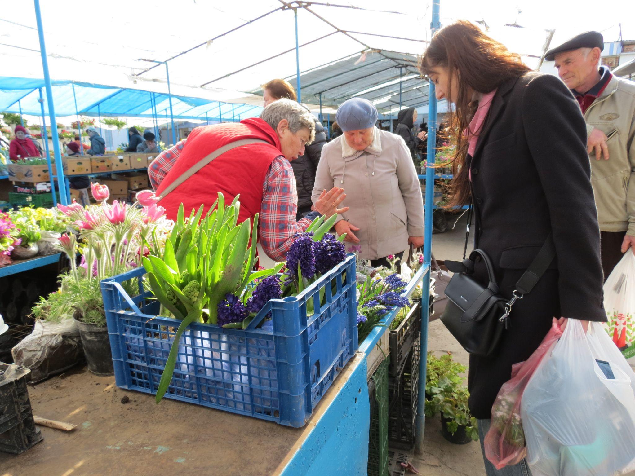 Новини Тернополя - фото з Квітковий ринок аж «гуде». Скільки коштують рослини і що найчастіше купують тернополяни? (РЕПОРТАЖ)