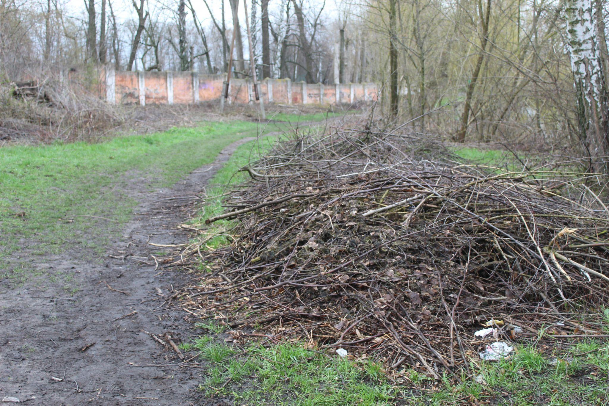 Новини Козятина - фото з Ліквідувати стихійне сміттєзвалище у зоні відпочинку завадило торішнє гілля