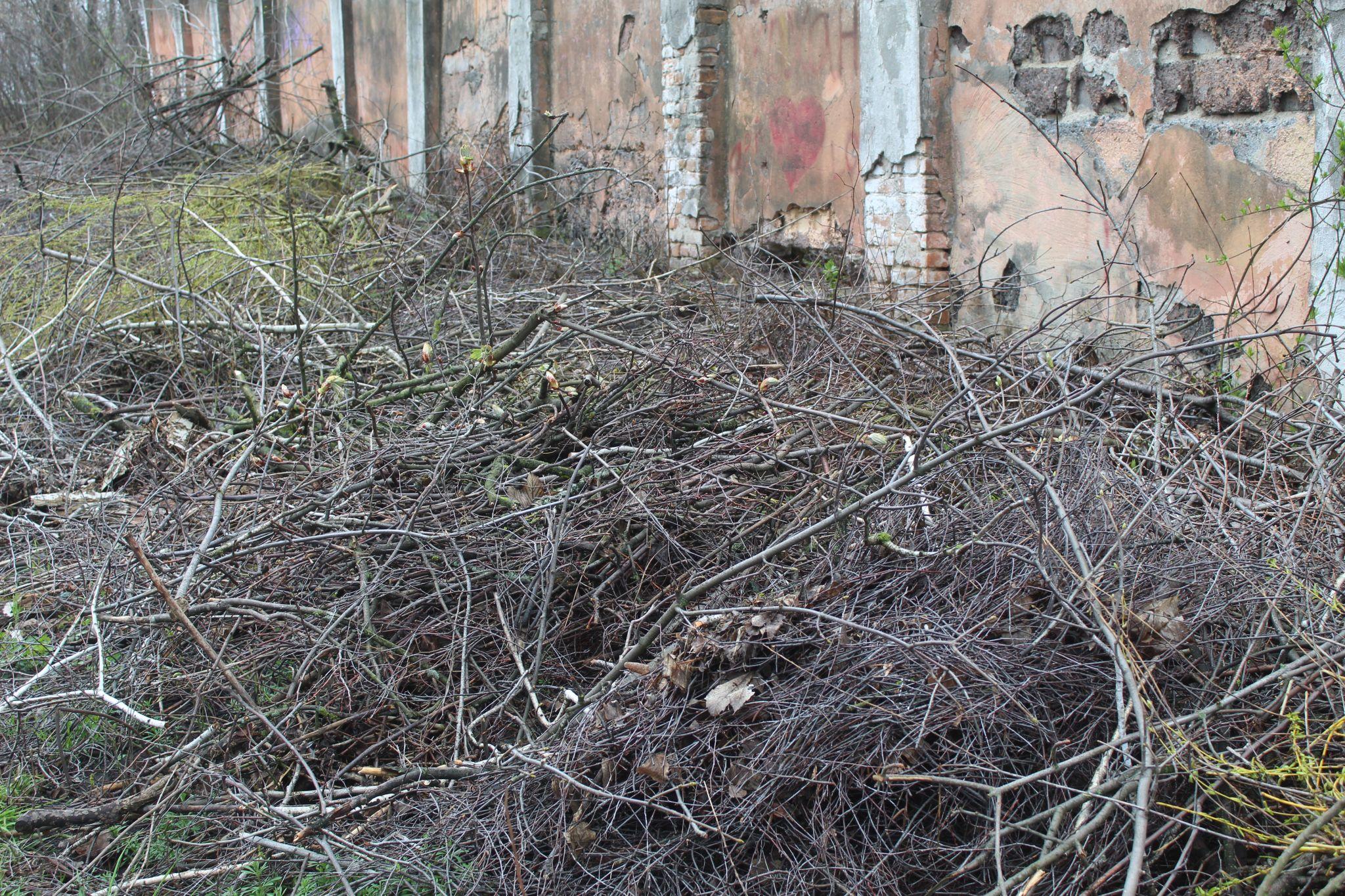 Новини Козятина - фото з Ліквідувати стихійне сміттєзвалище у зоні відпочинку завадило торішнє гілля