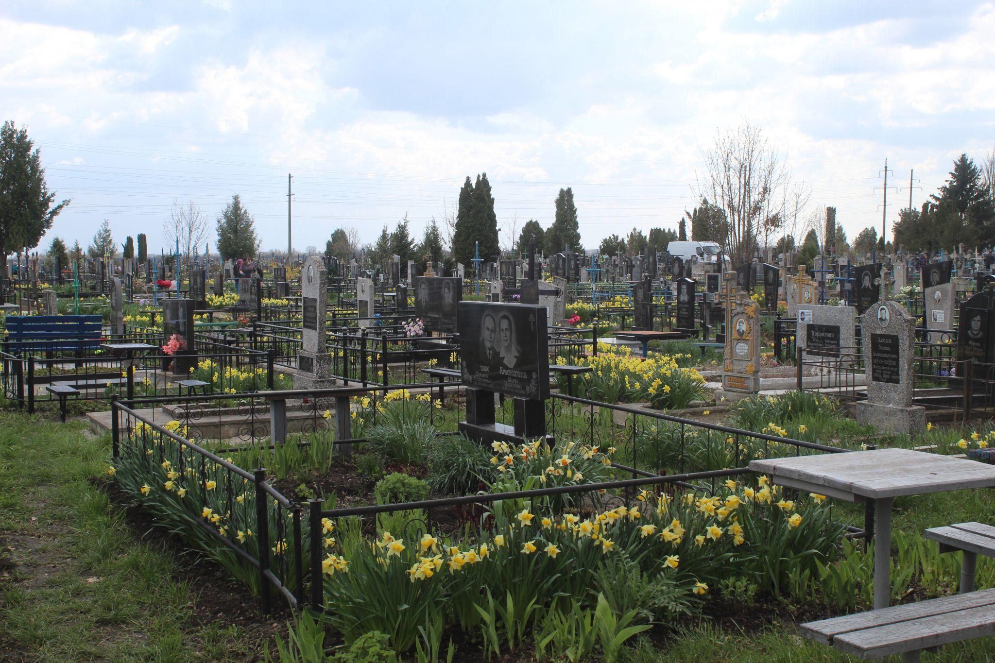 Новини Козятина - фото з На цвинтарі рідні садять, а чужі — крадуть квіти. Як наші земляки готувалися до проводів