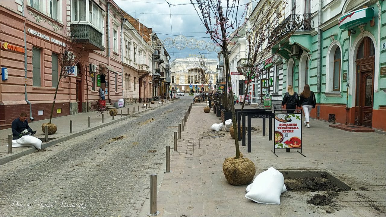 Новини Тернополя - фото з На Чорновола замість червонолистих кленів висаджують декоративні сливи