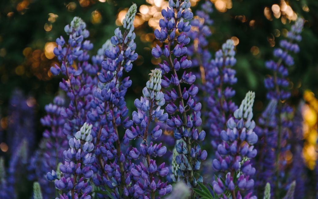 Новини Хмельницького - фото з Вихідні та свята у травні 2023: скільки відпочиватимуть жителі Хмельниччини