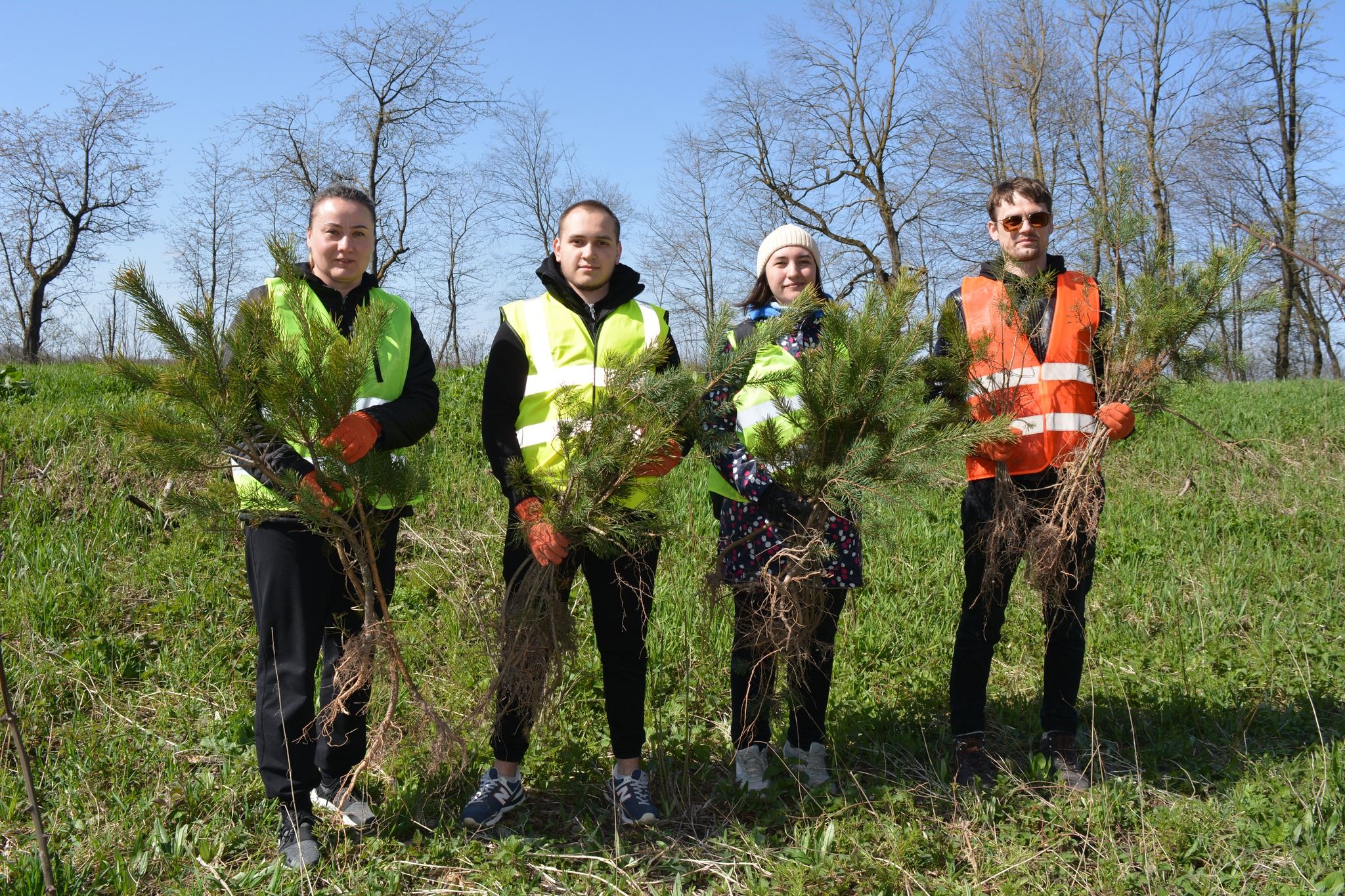 Новини Тернополя - фото з Дороги Тернопільщини захищатимуть 1000 нових дерев