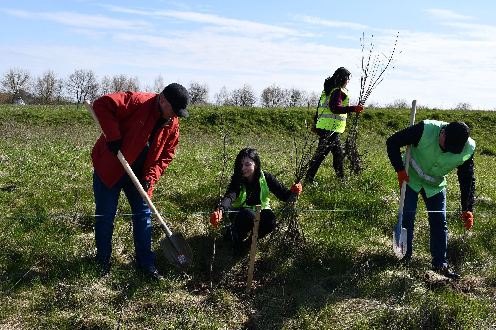 Новини Тернополя - фото з Дороги Тернопільщини захищатимуть 1000 нових дерев
