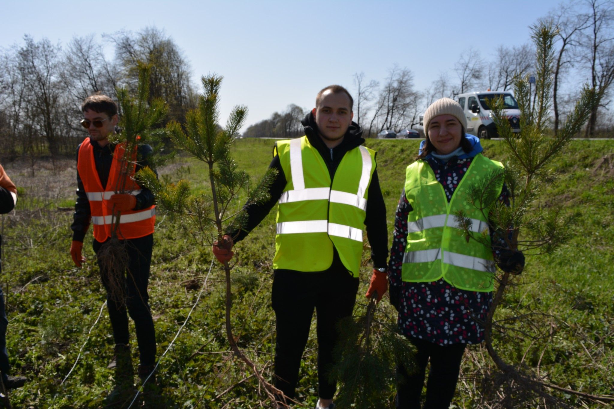 Новини Тернополя - фото з Дороги Тернопільщини захищатимуть 1000 нових дерев